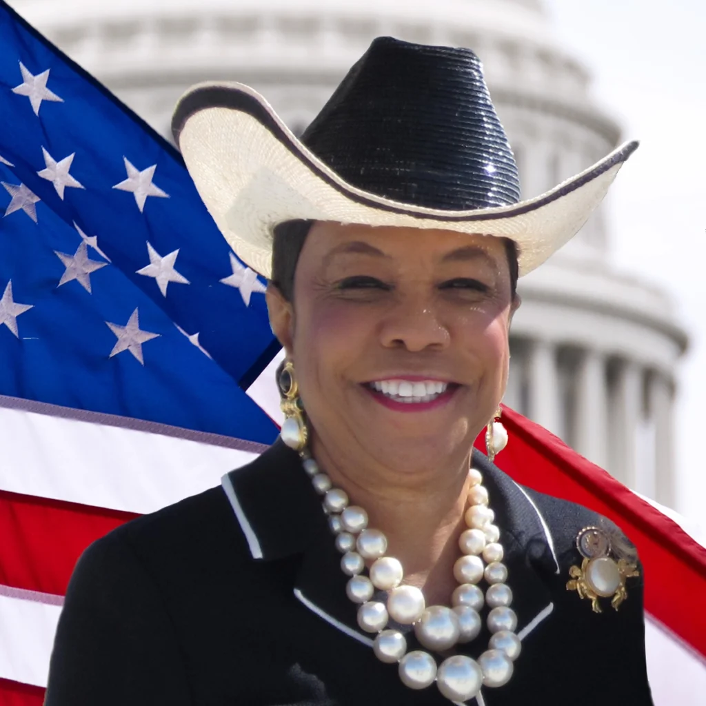 Frederica Wilson is co-sponsor legislation to pack the bench